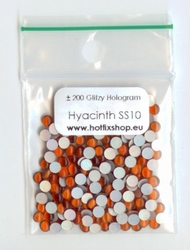 Glitzy Hologram Hyacinth SS10
