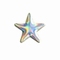 Nailhead Star - Shiny Hologram Silver - 5mm