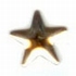 Nailhead Star - Gold - 8mm