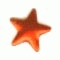 Nailhead Star - Oranje - 5mm
