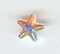 Rhinestones Star Crystal 7x7mm