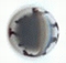 Zebra Rimmed Epoxy Nailhead Round 6mm Gray