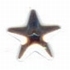 Nailhead Star - Silver - 8mm